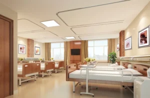 Repumed | Nursing Beds: A Comprehensive Guide to Selection and Features（From Chinese Manufacture--Repumed）