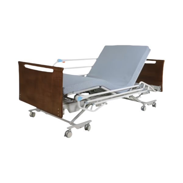 Five Electric Nursing Bed (RPN- E52)